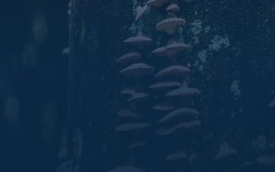 Reclaiming the Future Dublin 2026